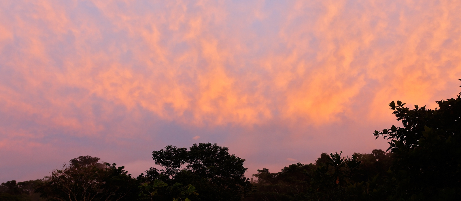 10 DAY AMAZON AND ANDES ADVENTURE