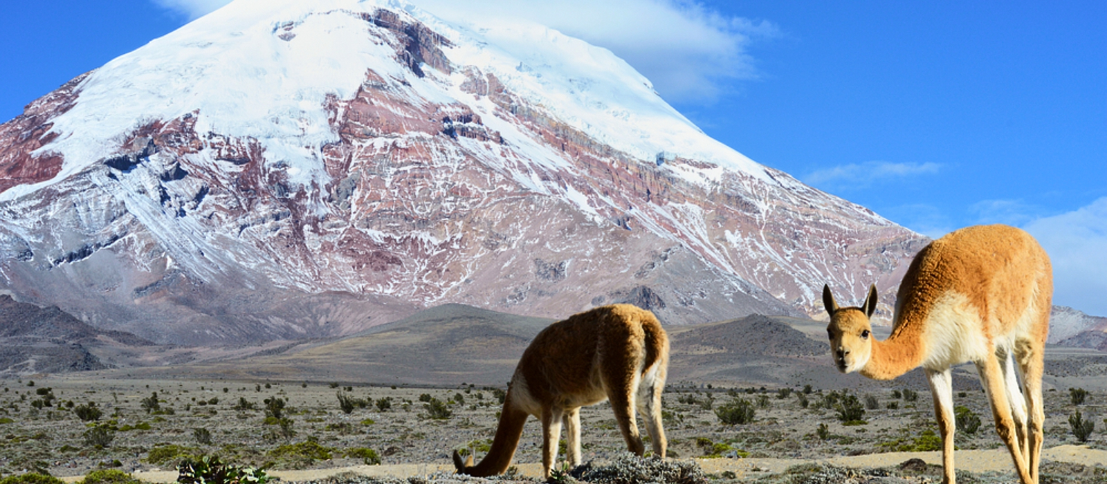 10 DAY AMAZON AND ANDES ADVENTURE