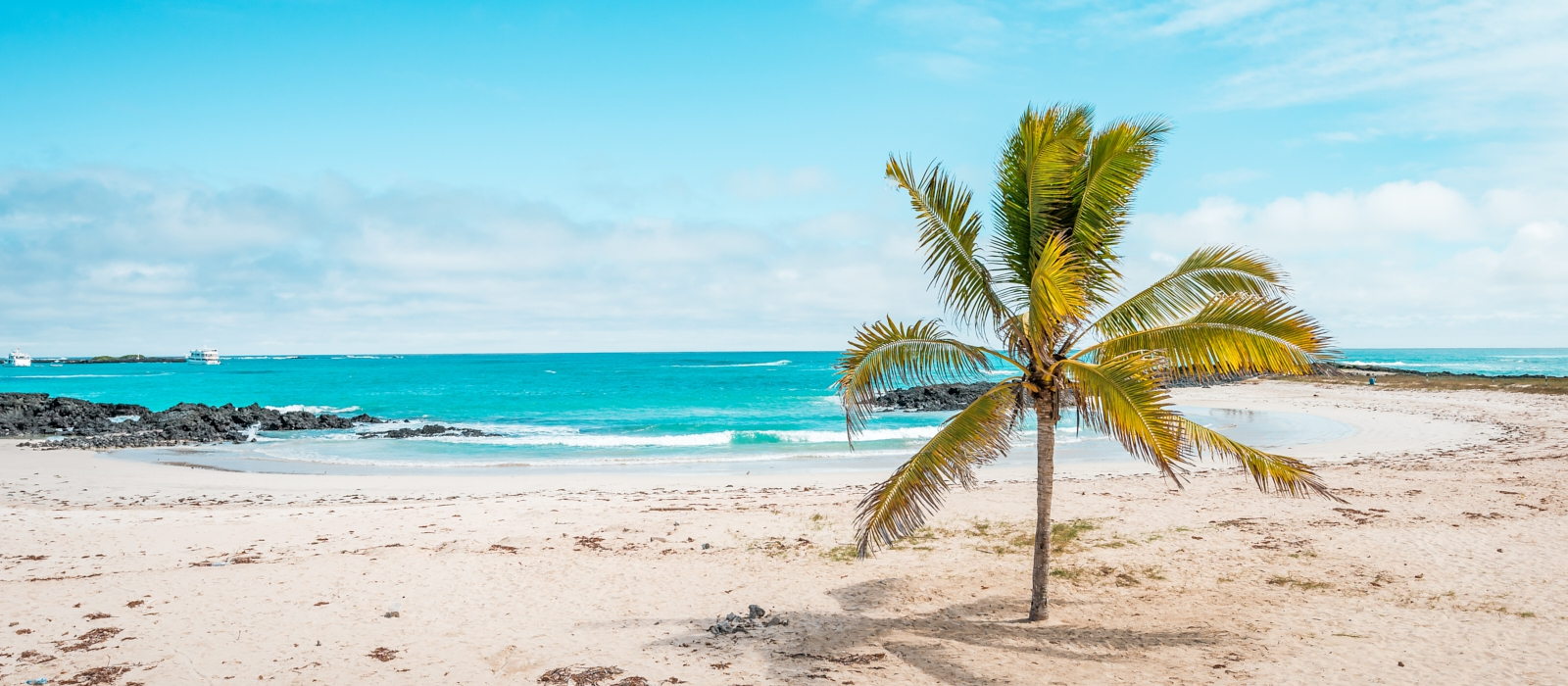 10 DAY LUXURY ECUADOR AND GALAPAGOS