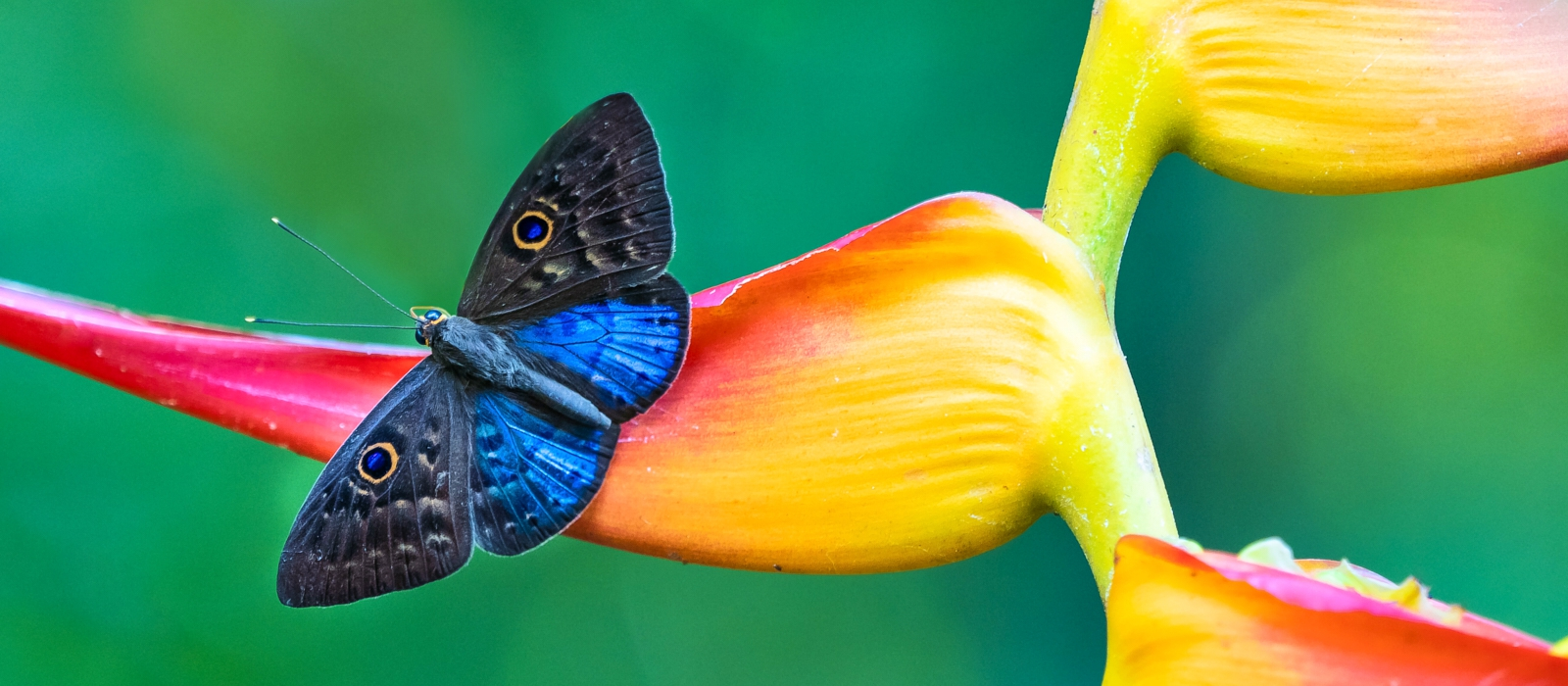 11 Day  Classic Costa Rica