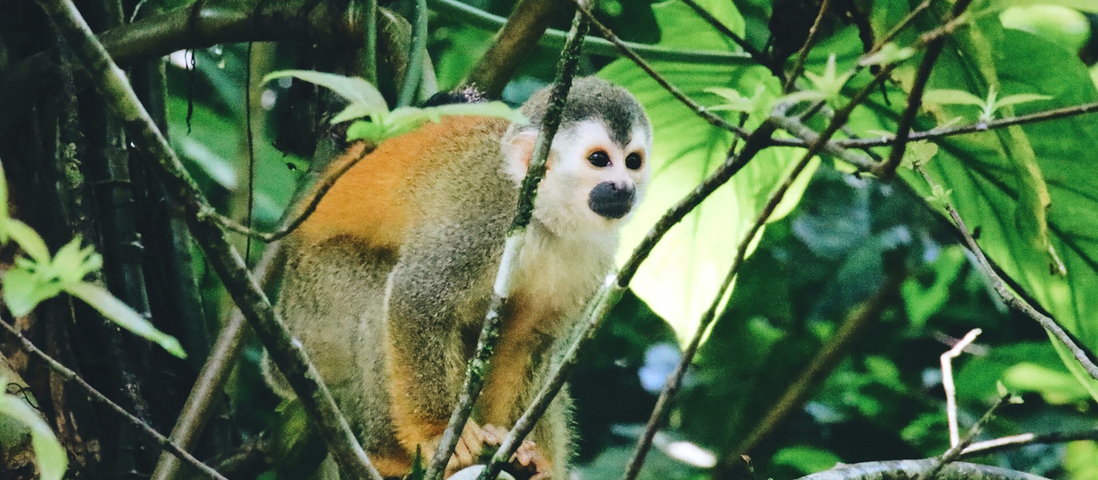 11 Day  Classic Costa Rica