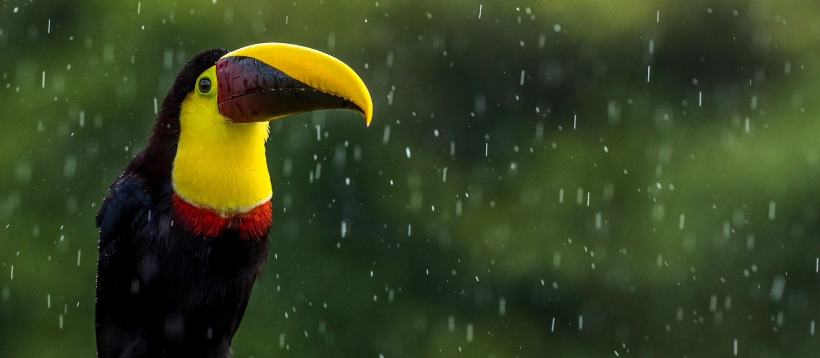 11 Day  Classic Costa Rica