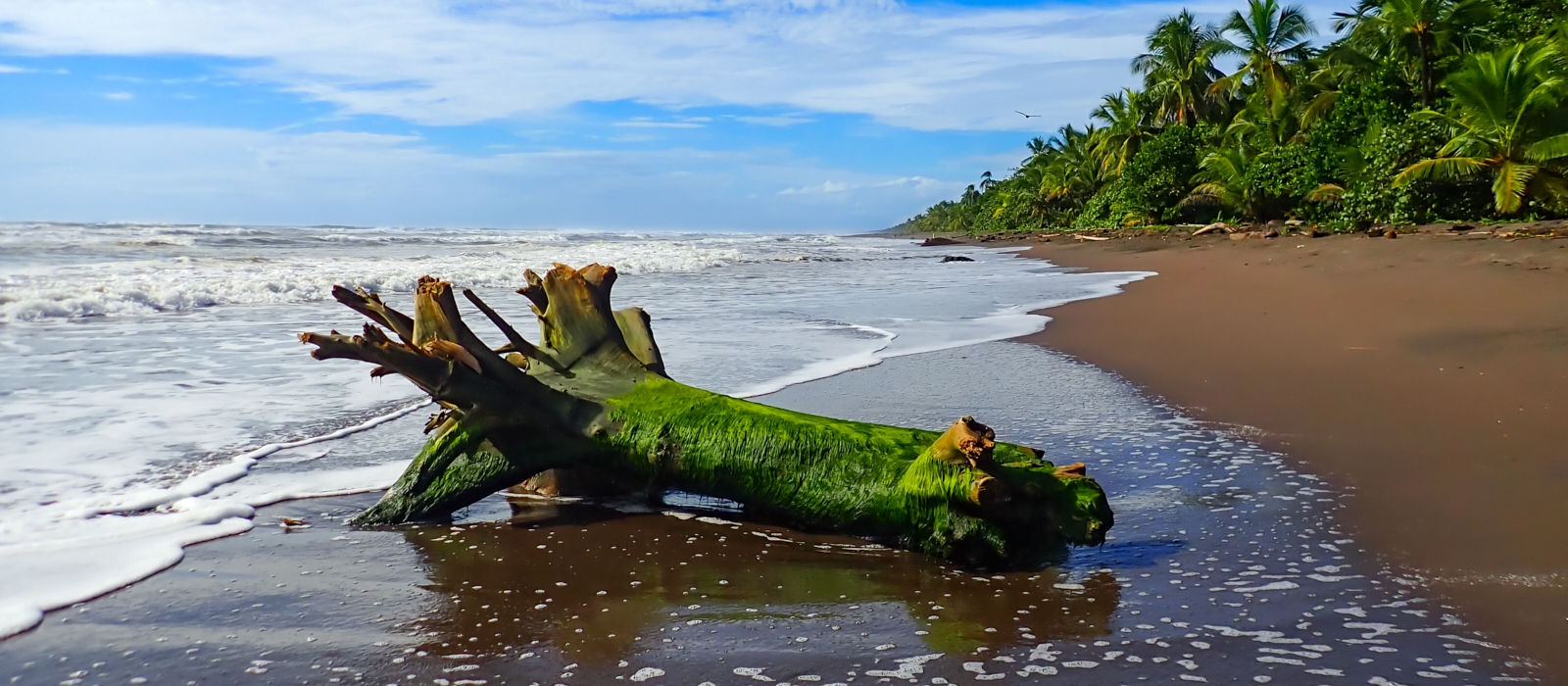11 Day Luxury Eco Adventure