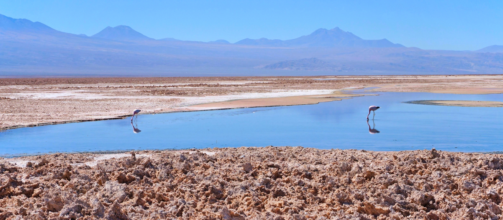 11 Day -MULTI- DESTINATION LUXURY CHILE