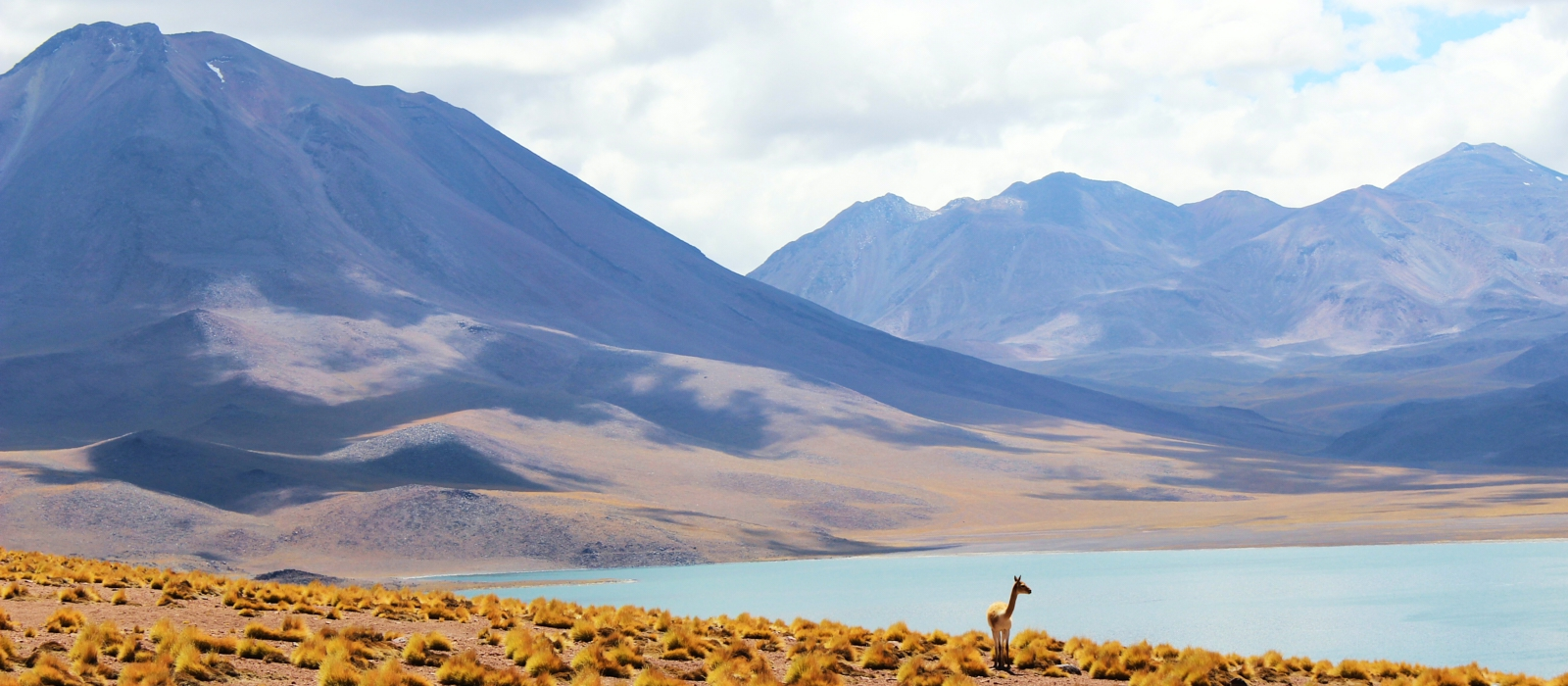 11 Day -MULTI- DESTINATION LUXURY CHILE