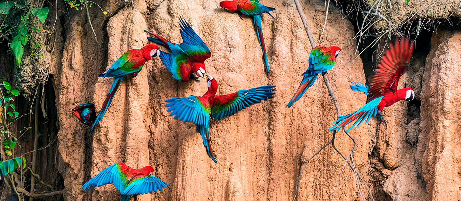 12 Day – Amazon Luxury and Machu Picchu