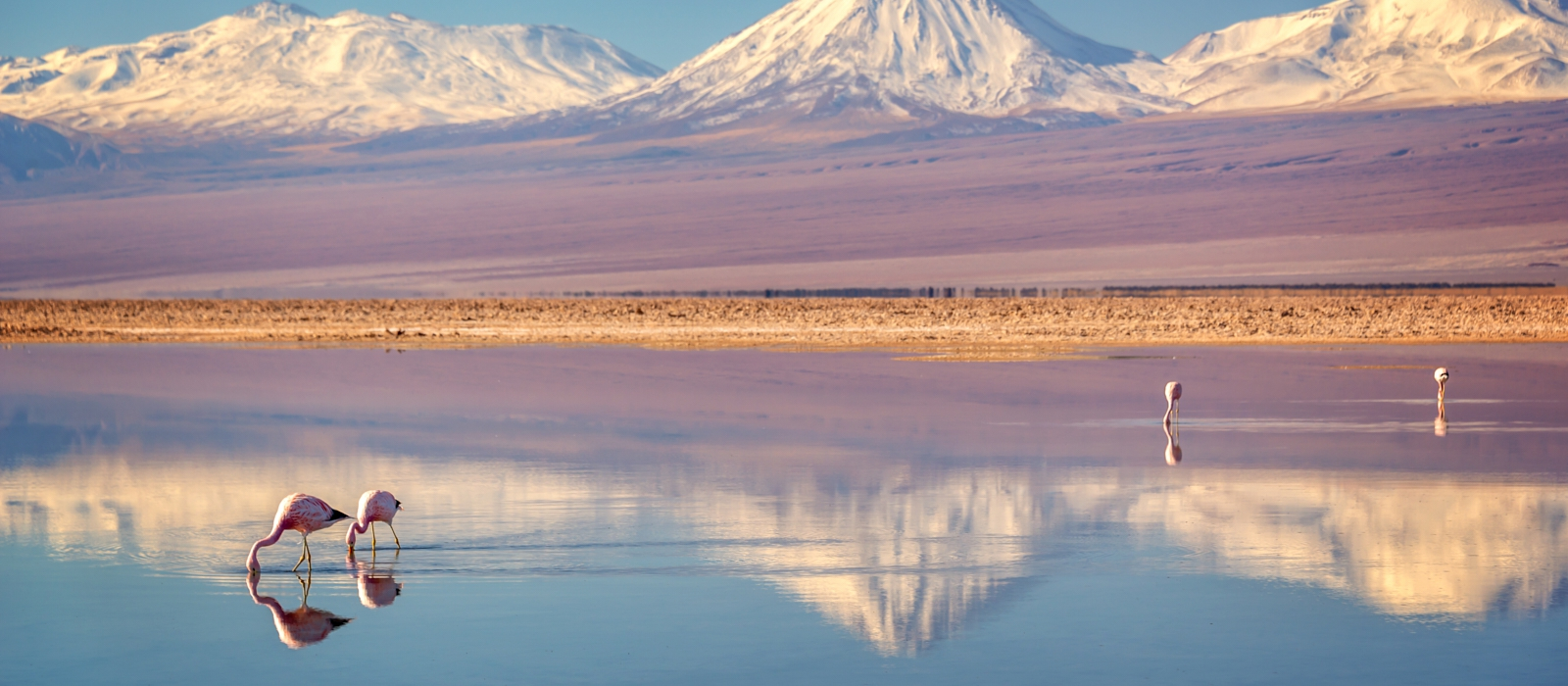 12 DAY- FULL - ON CHILE ADVENTURE