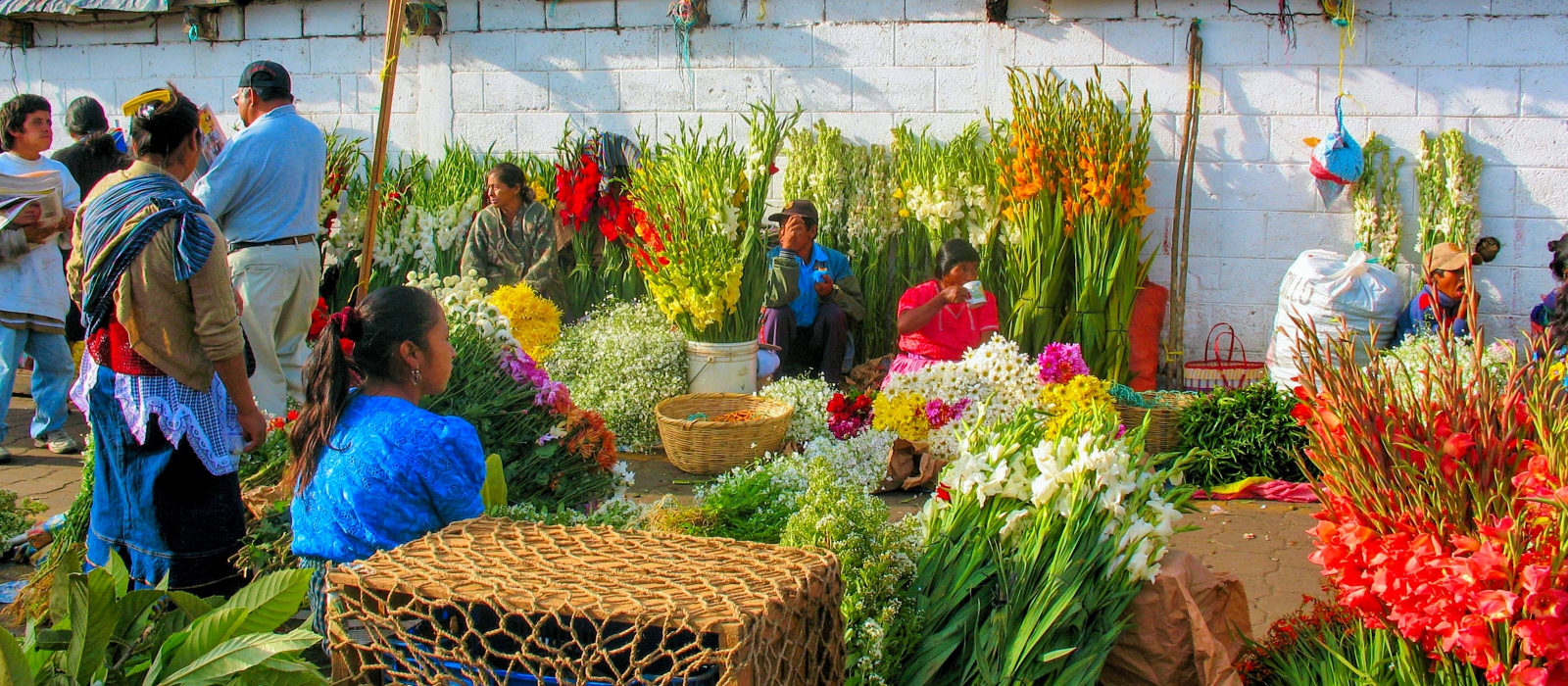 12 Day Guatemalan Culture And Nature