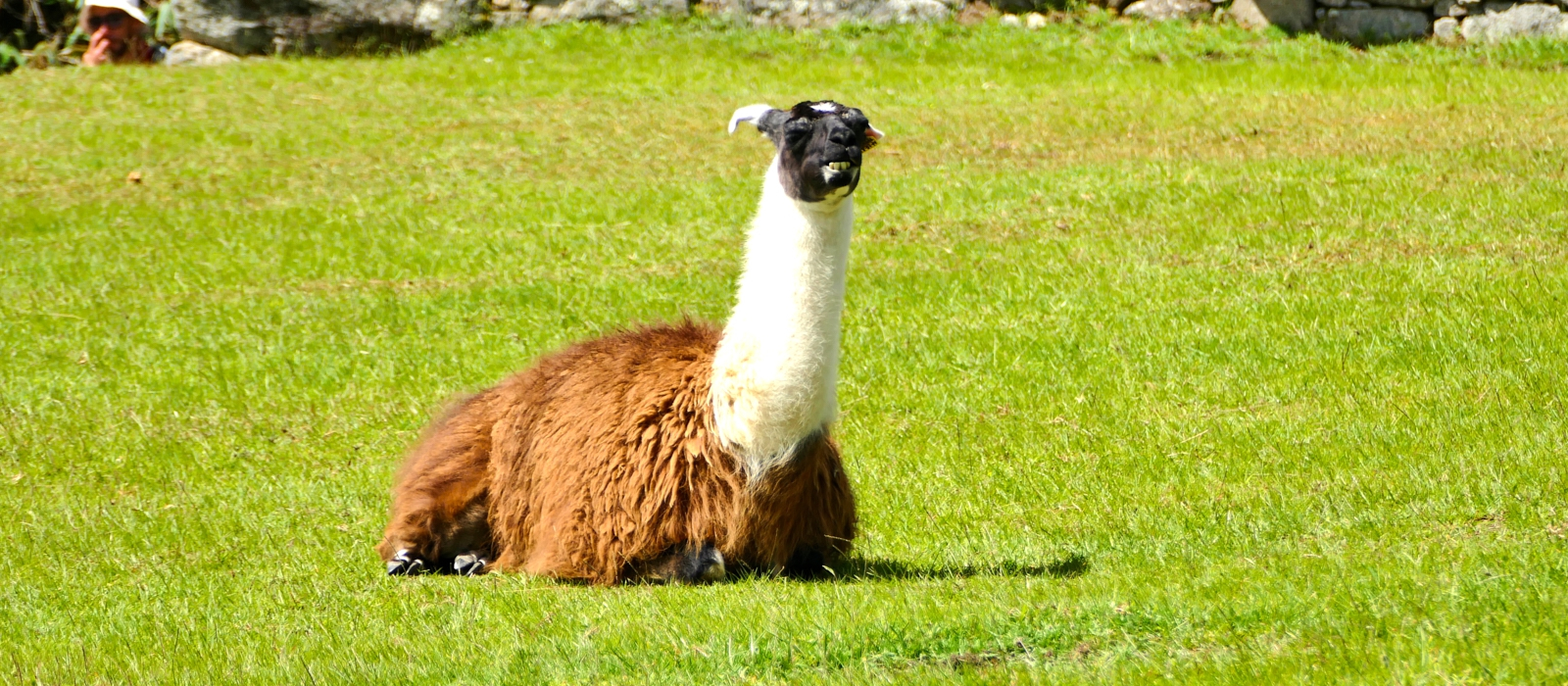 14 Day - Colours of Peru