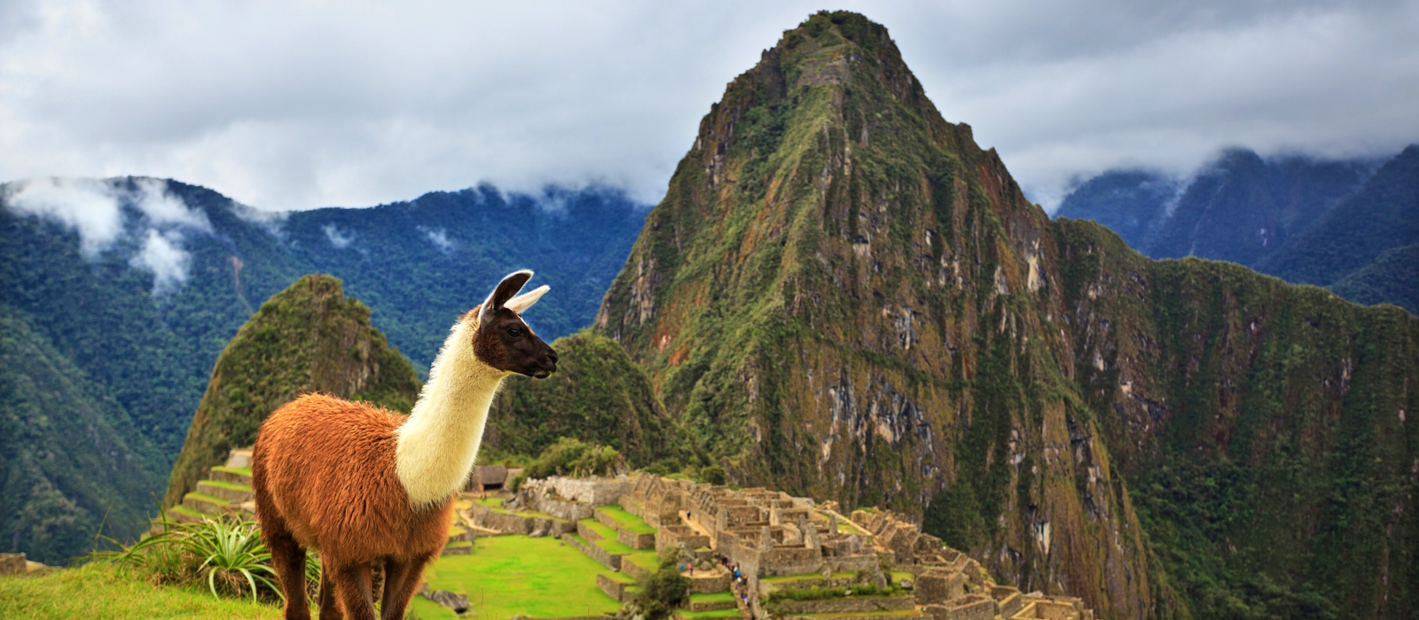 14 Day – Peru Honeymoon