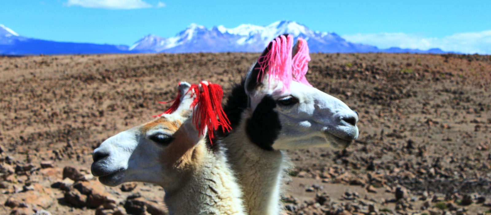 14 Day – Peru Honeymoon