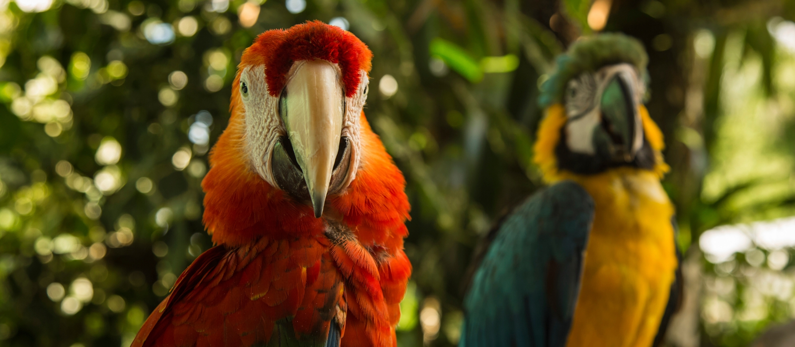 16 Day – Discovery Peru