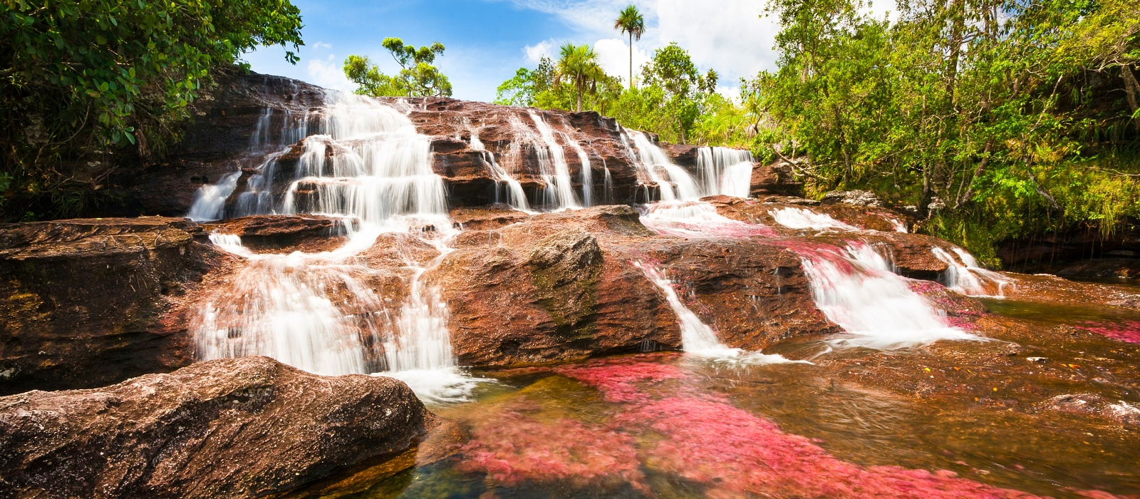 4 DAY CAÑO CRISTALES ADD-ON