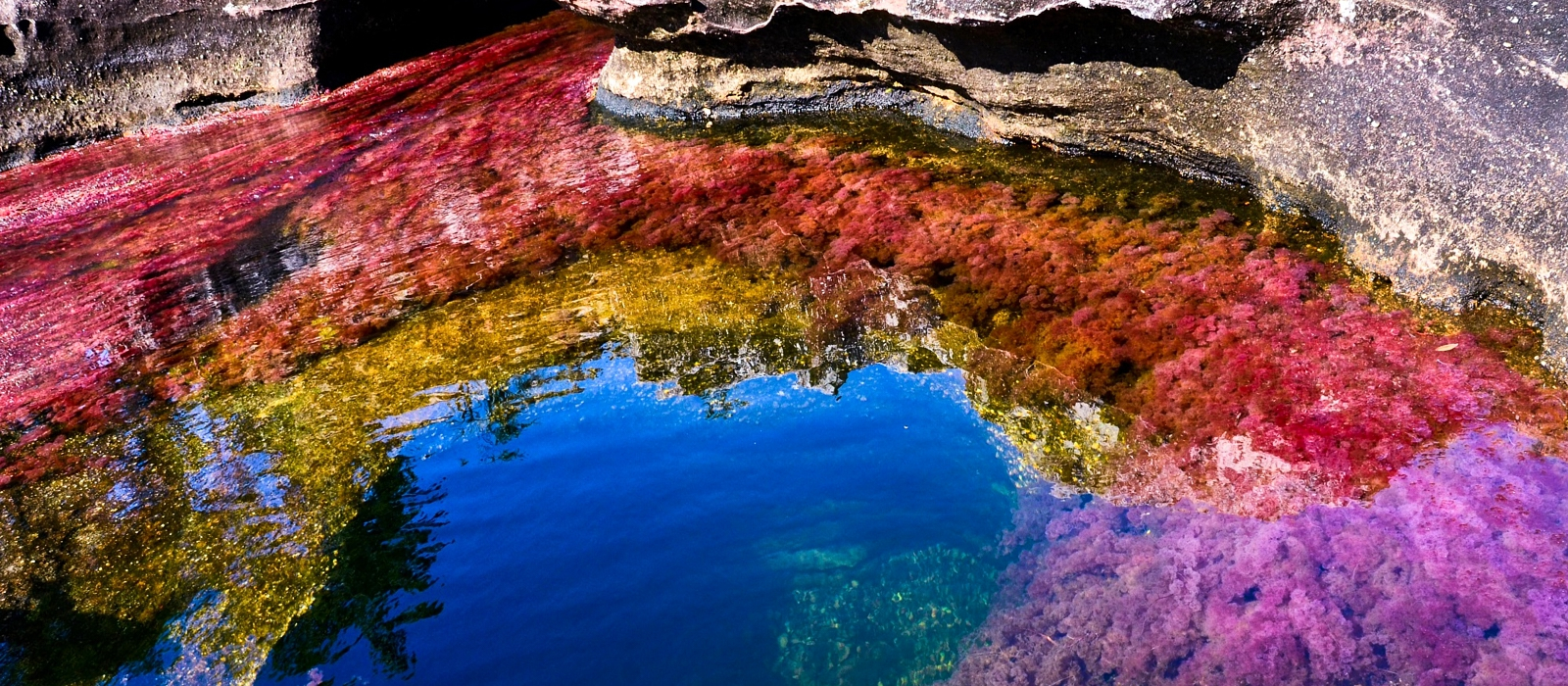 4 DAY CAÑO CRISTALES ADD-ON