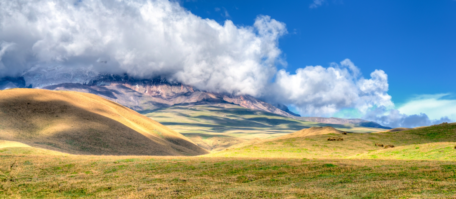4 DAY CONDOR TREK