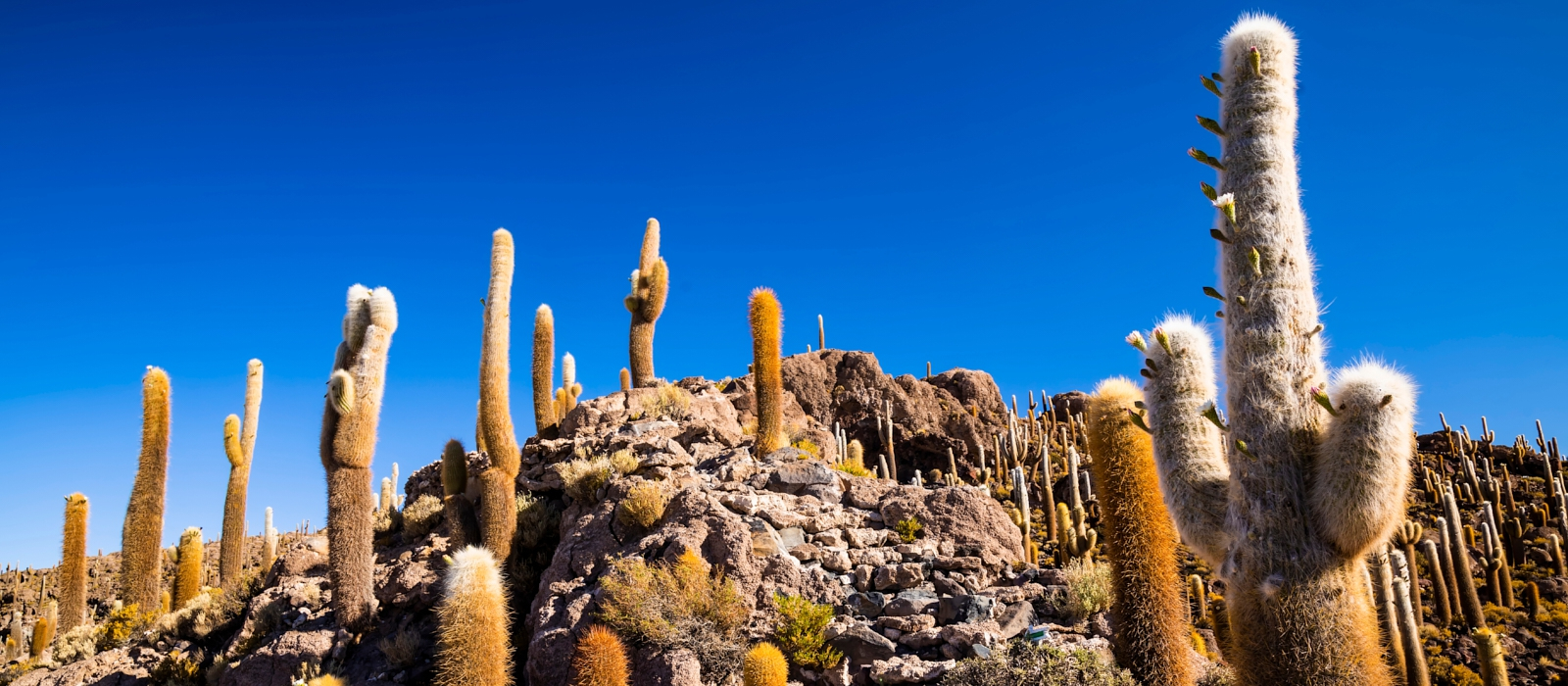 4 nights Luxury Uyuni Salt Flats.