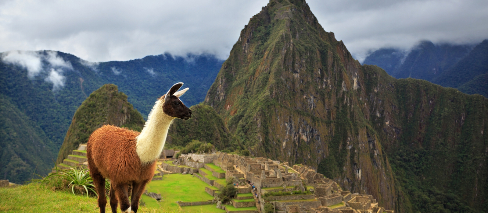 7 Day Classic Peru Vacation