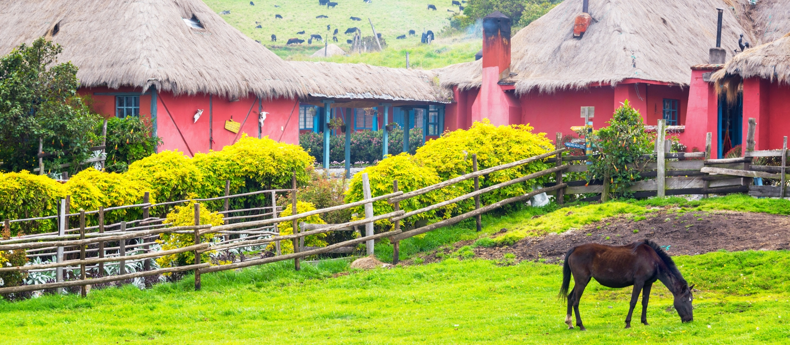 7 DAY ECUADOR - CYCLING AND HACIENDAS