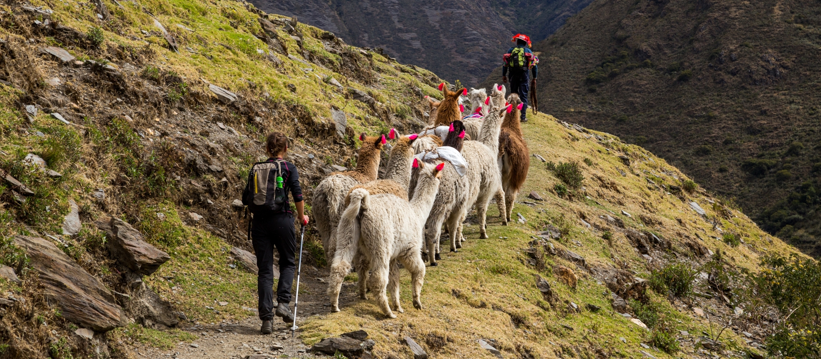 7 Day – Lares Trek & Machu Picchu