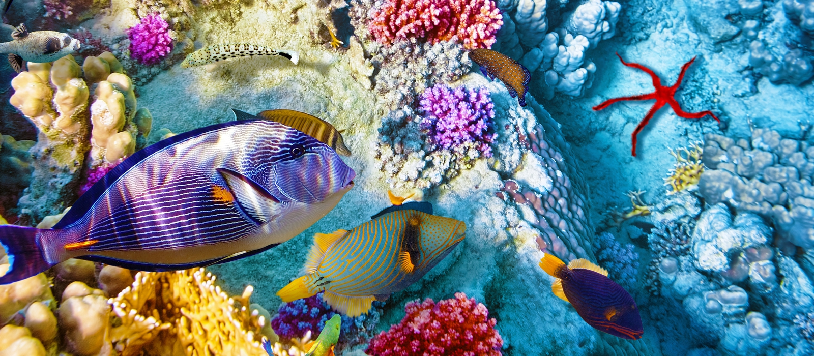 8 Day Belize And Hopkins Adventure