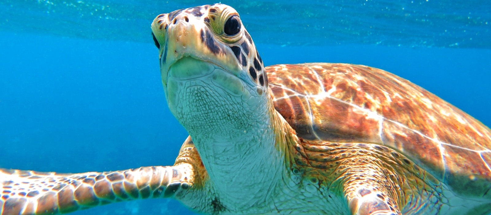 8 Day Belize And Hopkins Adventure