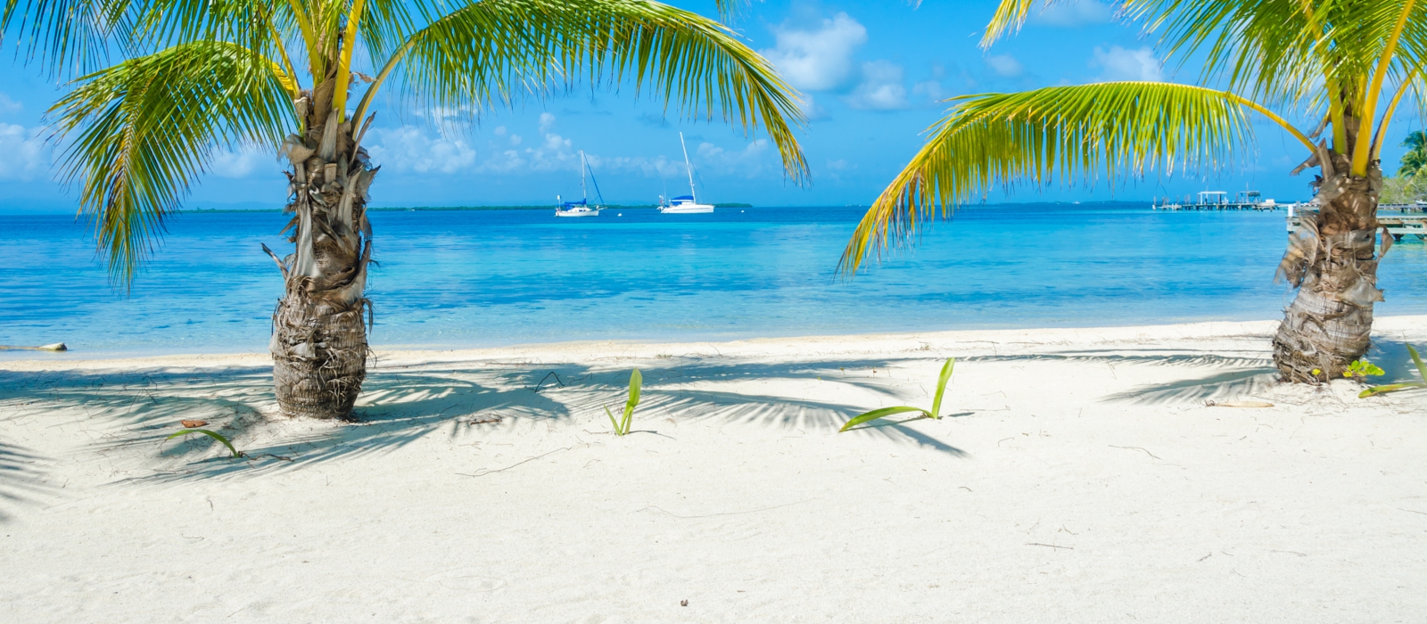 8 Day Belize And Hopkins Adventure