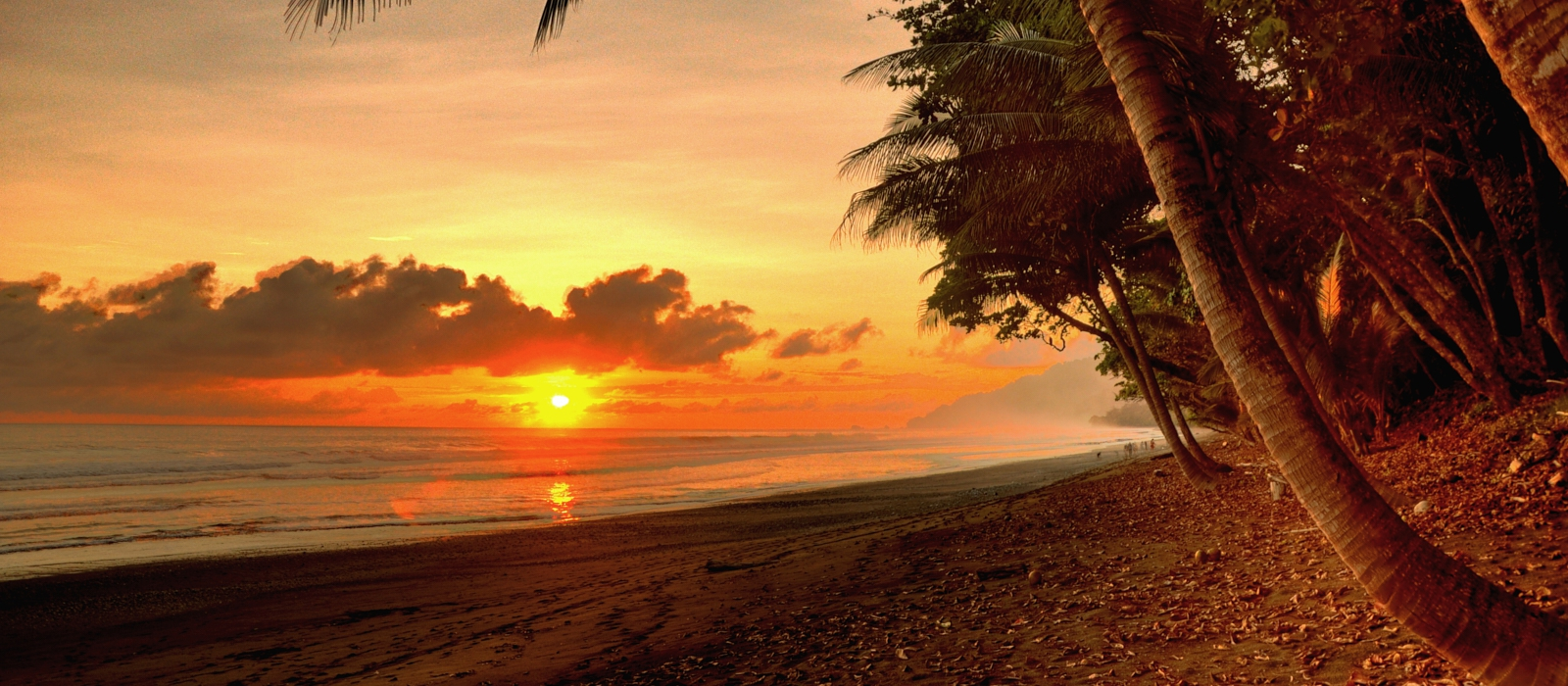 8 Day Costa Rican Paradise Adventure.