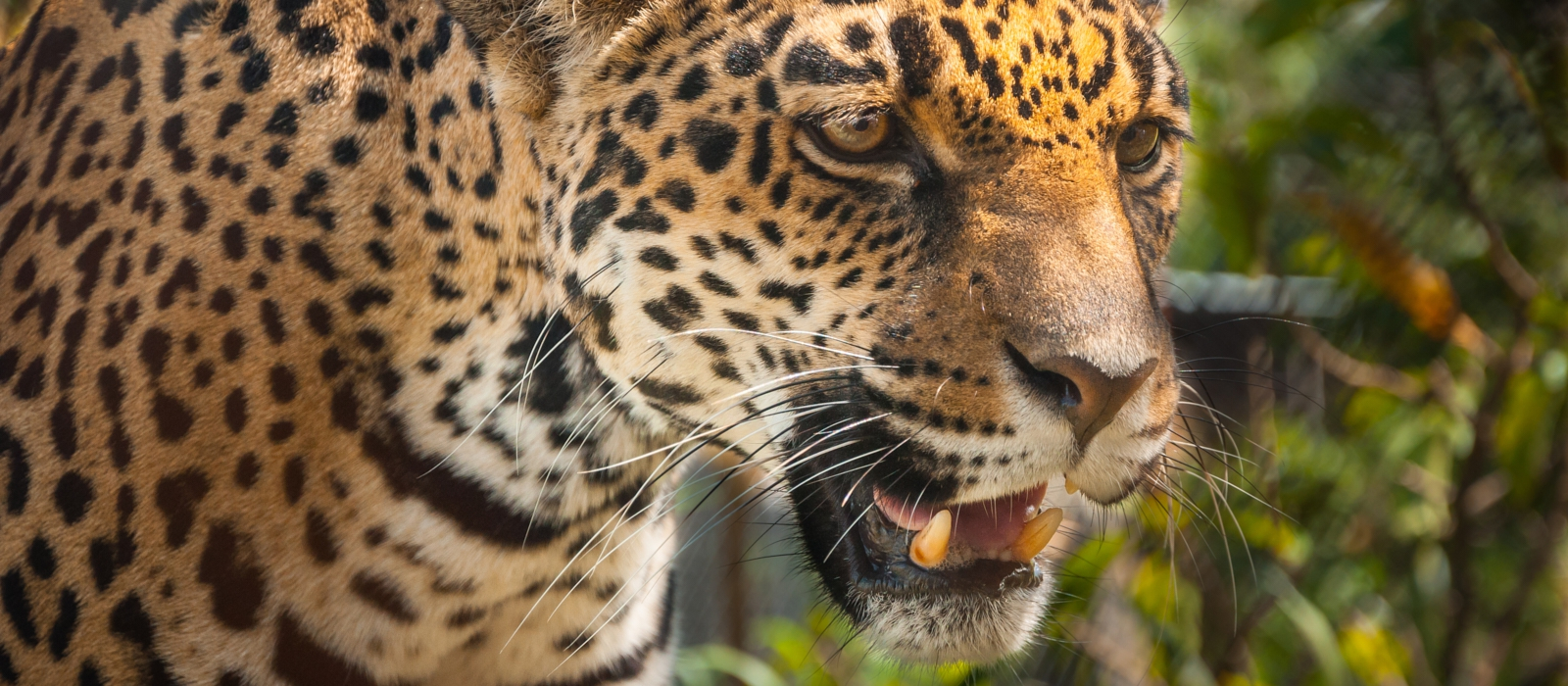 8 Day Costa Rican Paradise Adventure.