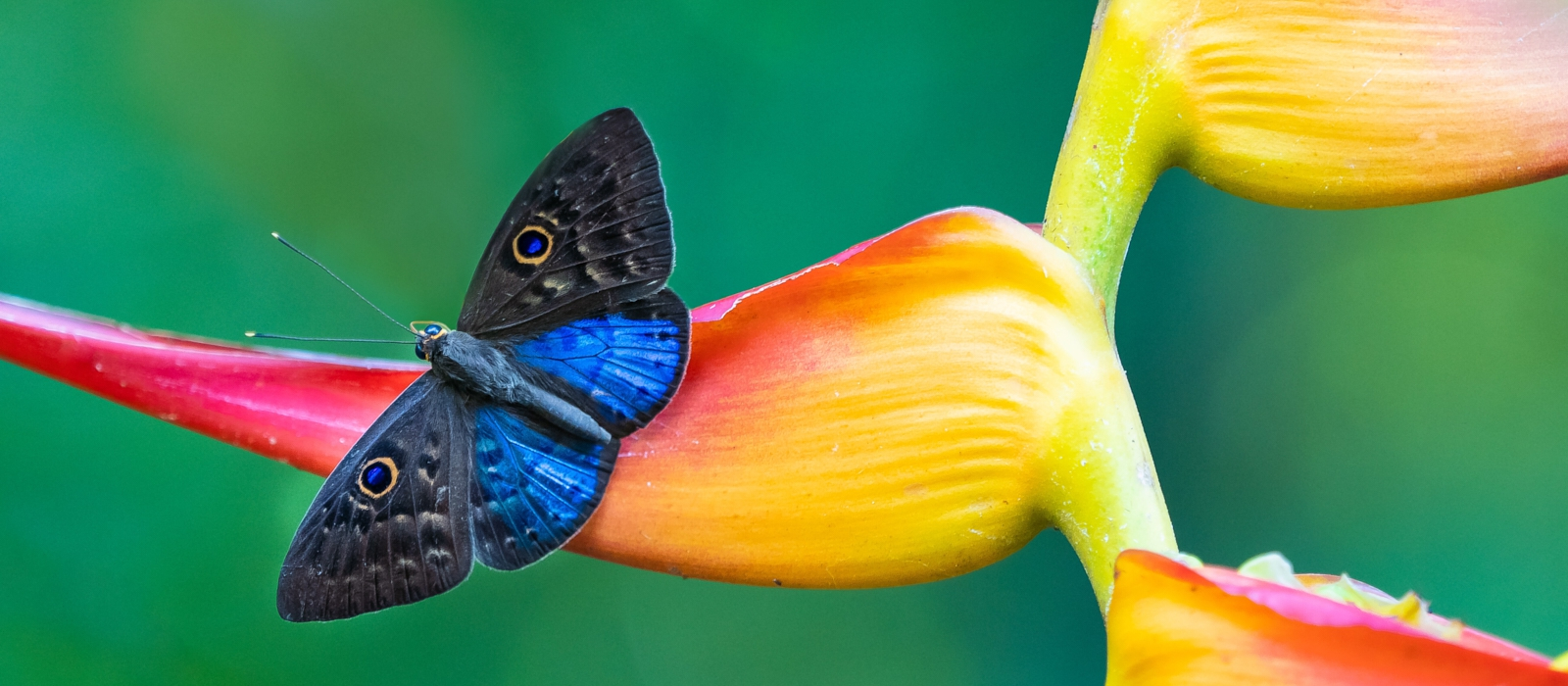 8 Day Costa Rican Paradise Adventure.
