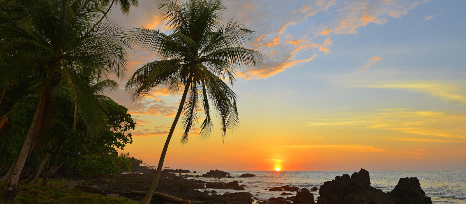 8 Day - Escape To Paradise