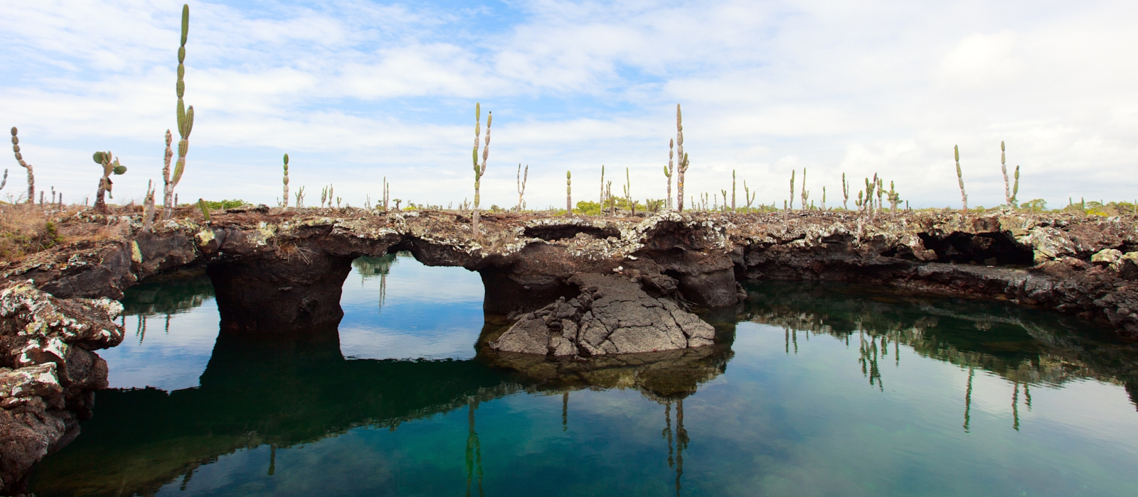 8 DAY LUXURY GALAPAGOS ESCAPE