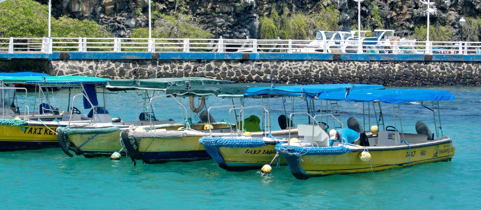 8 DAY LUXURY GALAPAGOS ESCAPE
