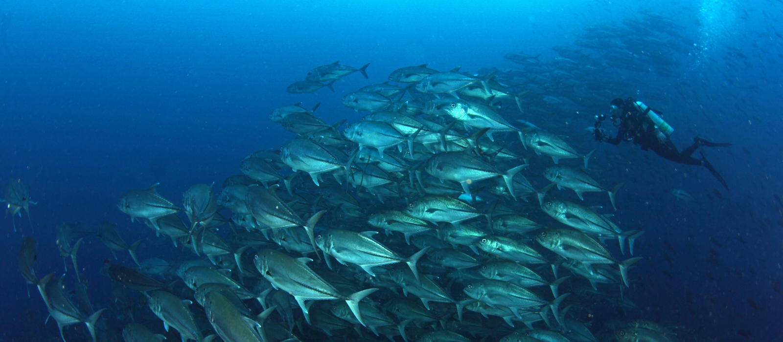 8 DAY LUXURY GALAPAGOS ESCAPE