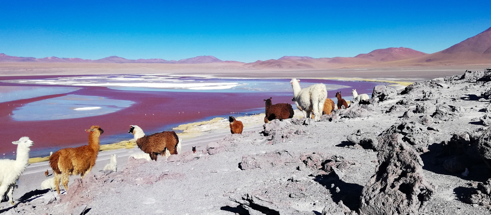 9 DAY LUXURY BOLIVIA