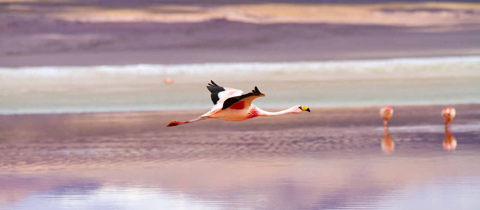 9 DAY LUXURY BOLIVIA