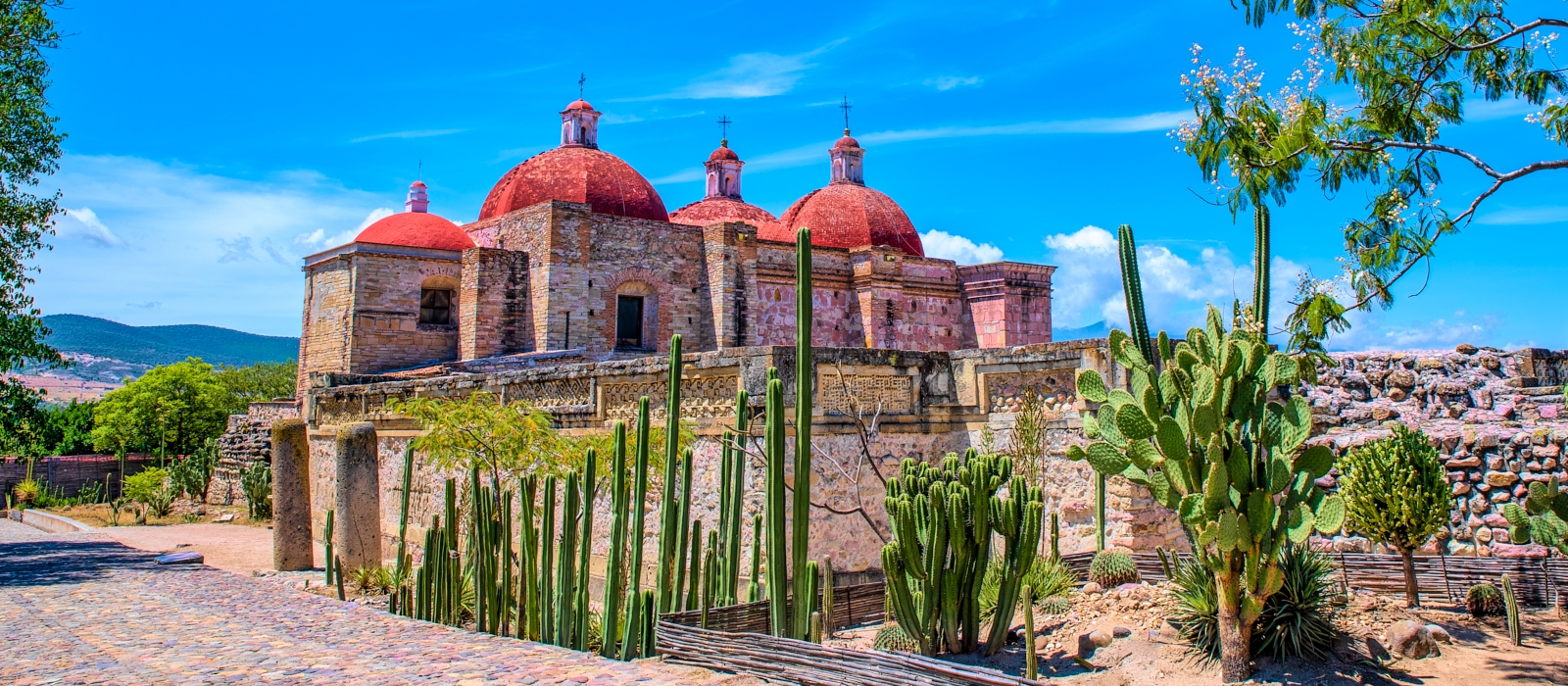 A Taste Of Mexico