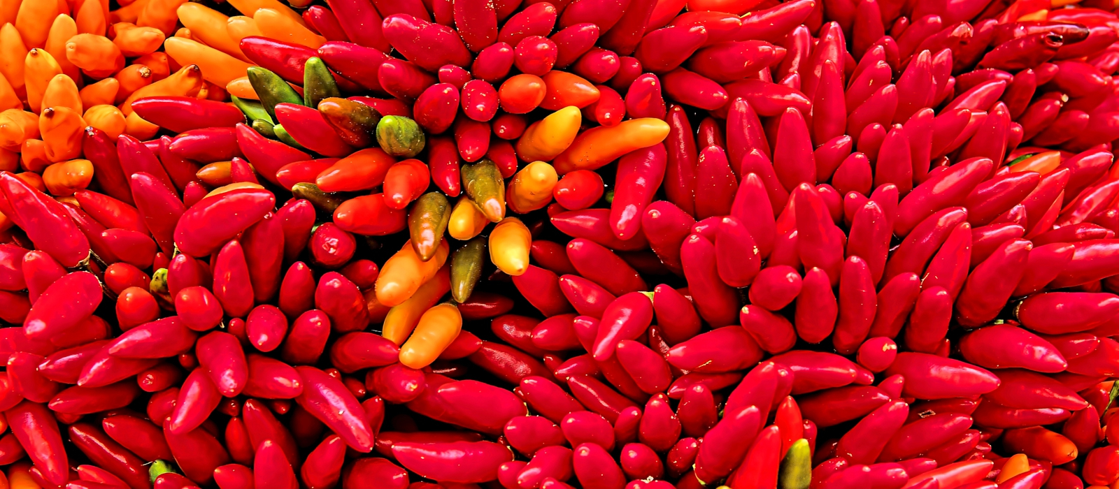 A Taste Of Mexico