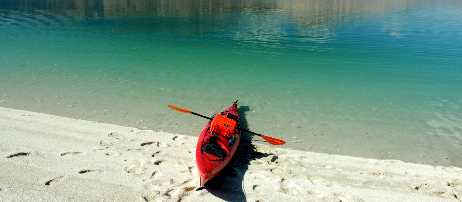 Adventure On The Sea Of Cortez