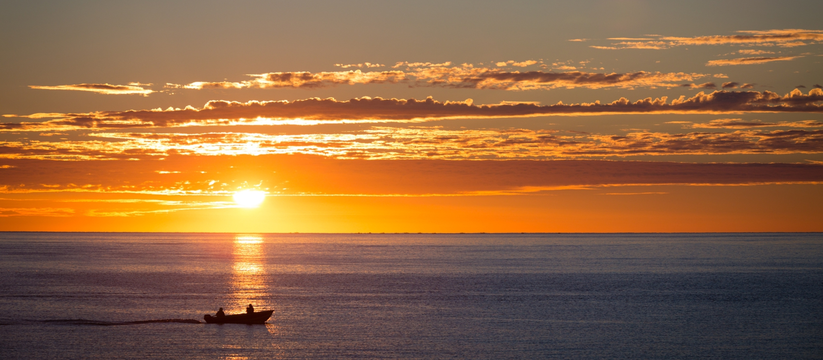 Adventure On The Sea Of Cortez