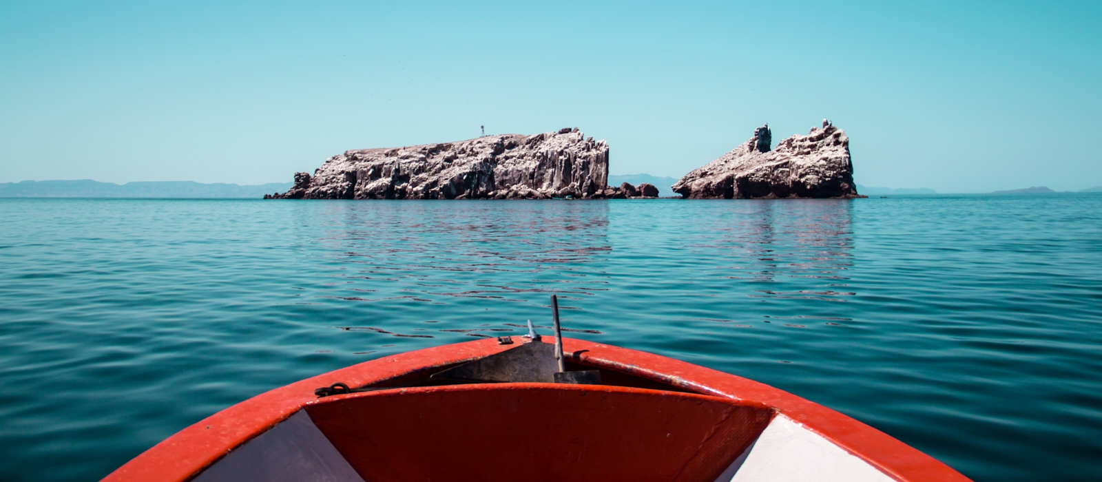 Adventure On The Sea Of Cortez