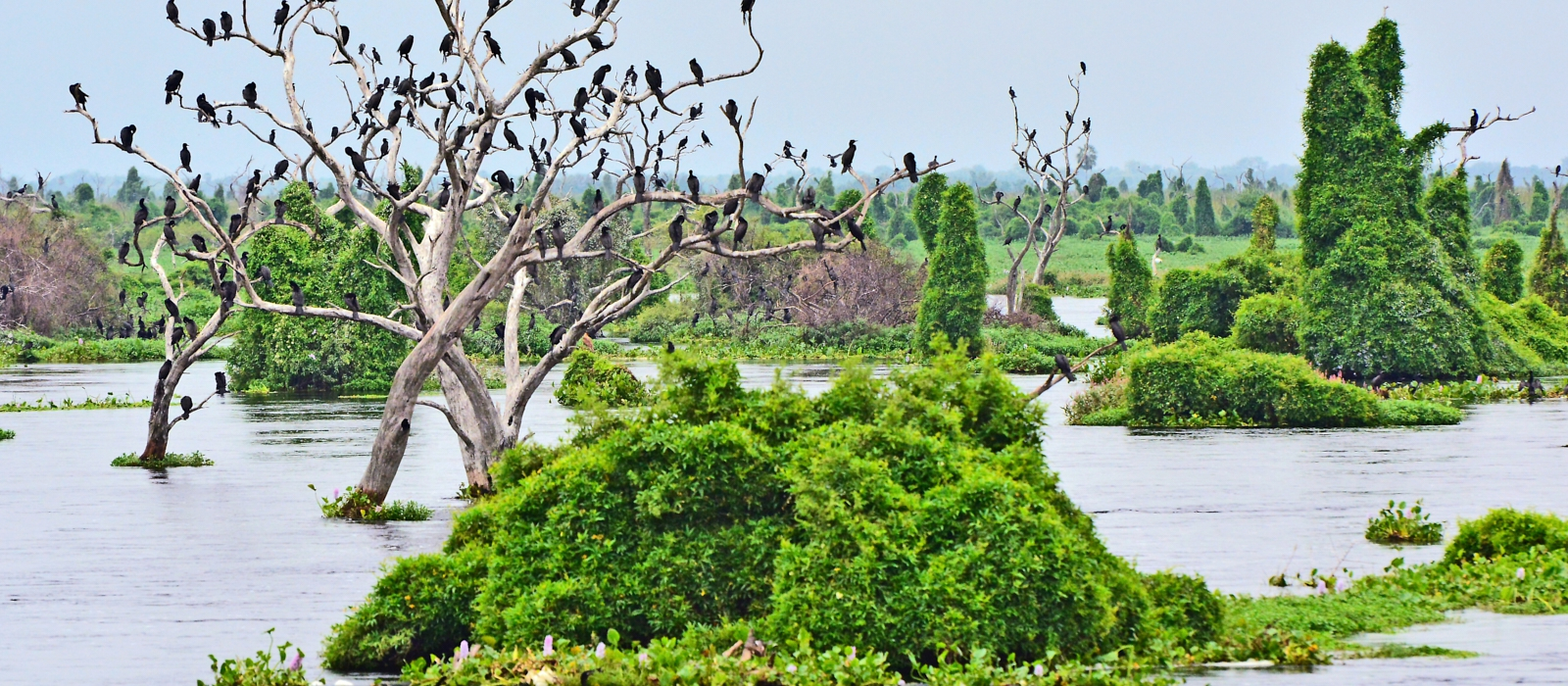 ARGENTINA NATURE AND CULTURE