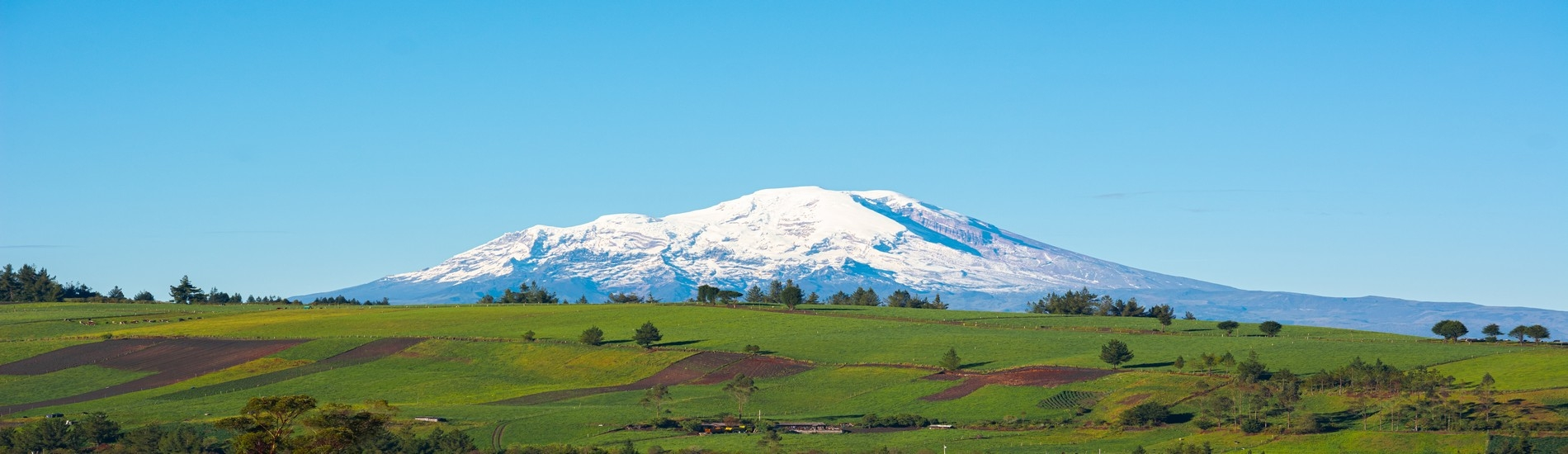 ave f the volcanoes banner