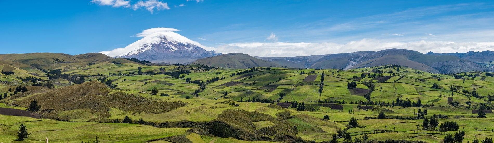 Ave of the volcanoes banner