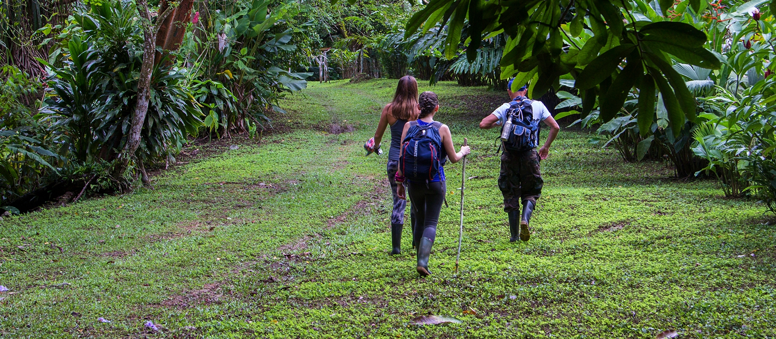 Caminos de Osa - Immersion Experience