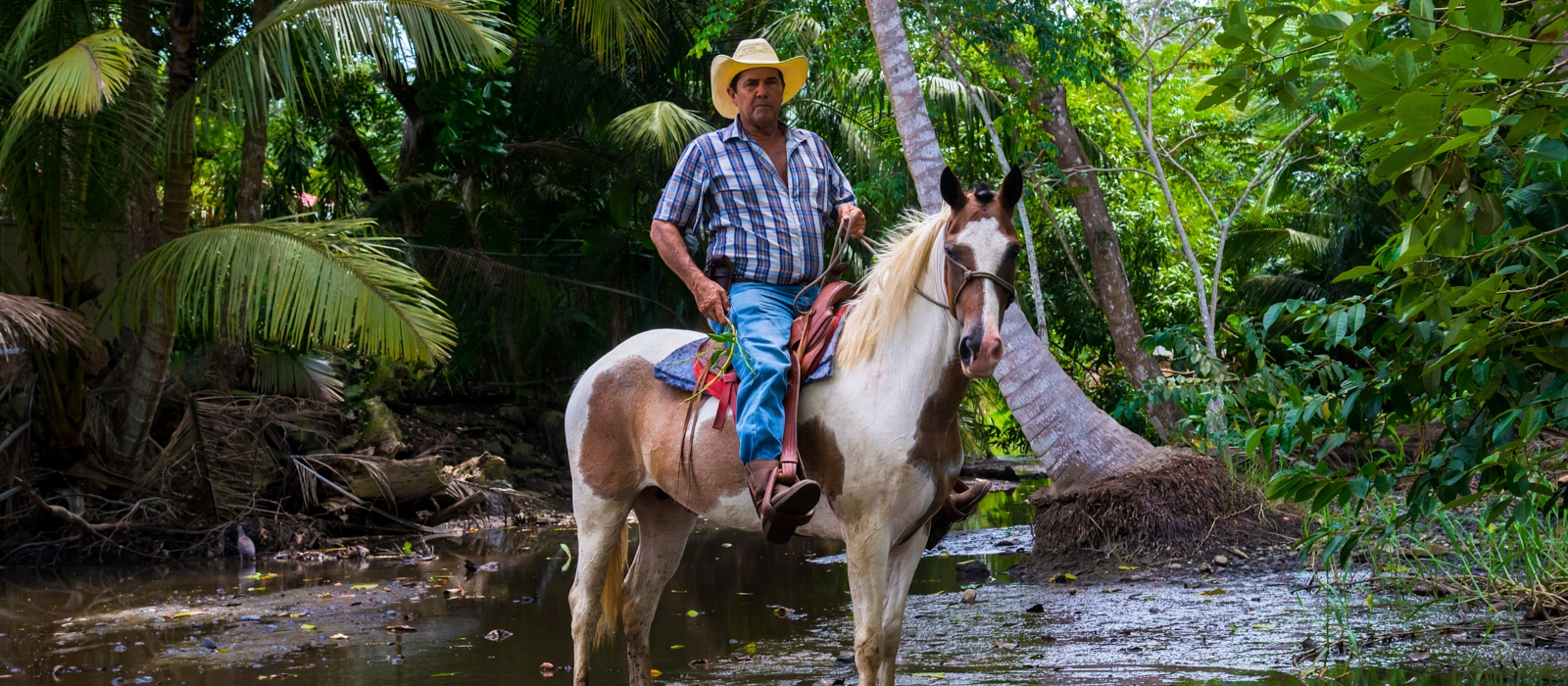 Caminos de Osa - Immersion Experience
