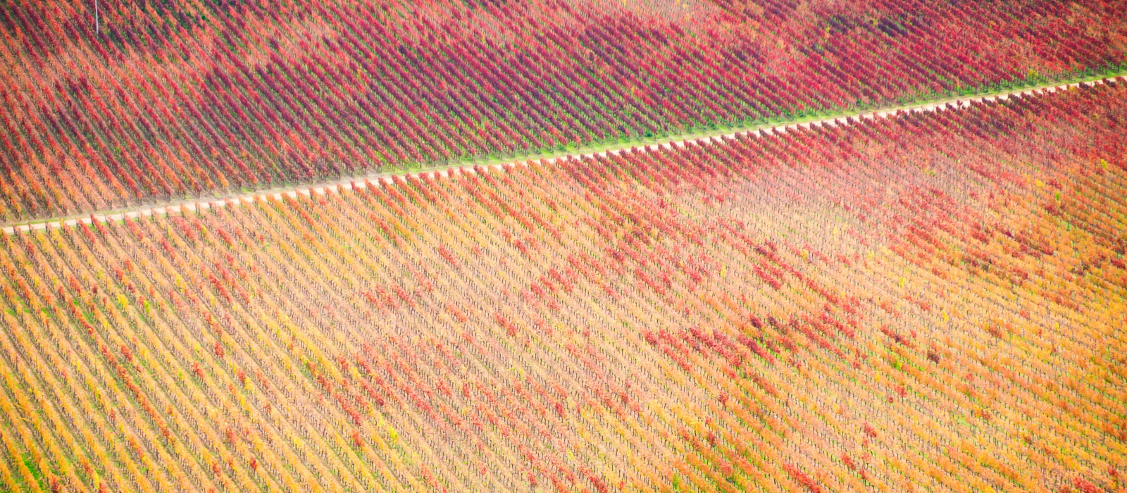 CHILE’S WINE VALLEYS