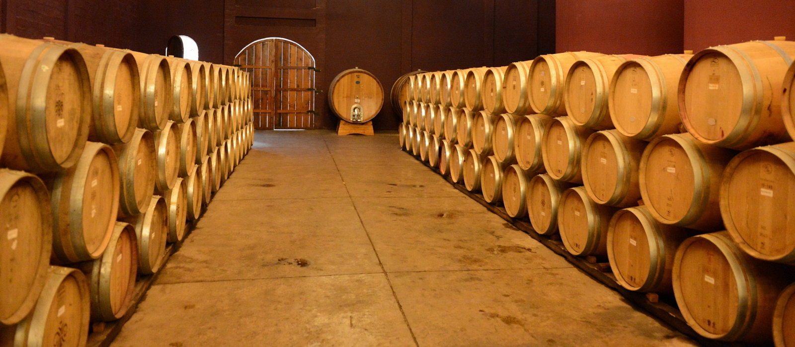 CHILE’S WINE VALLEYS
