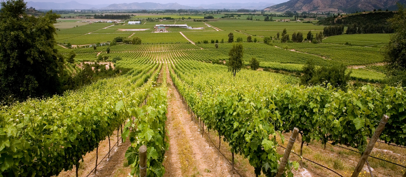 CHILE’S WINE VALLEYS