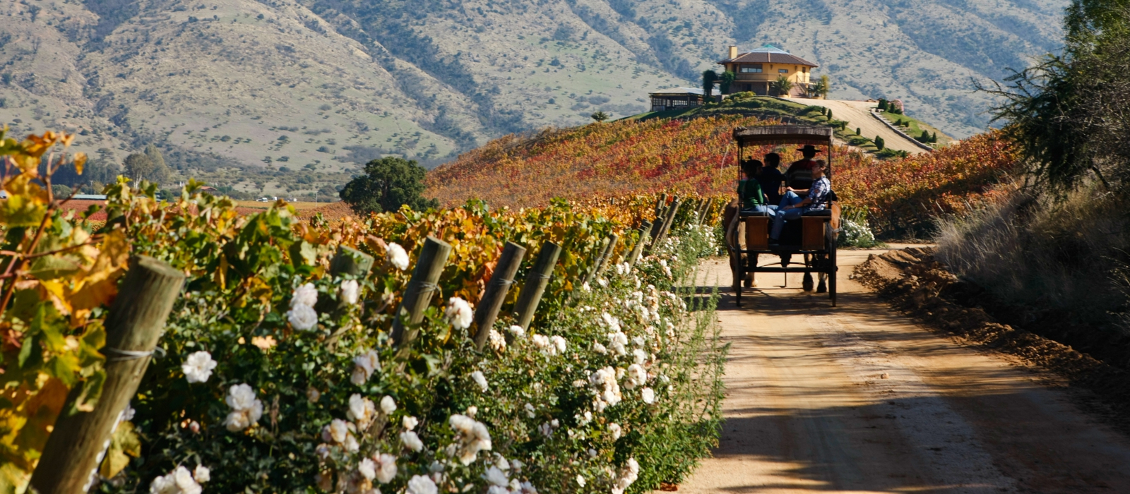 CHILE’S WINE VALLEYS