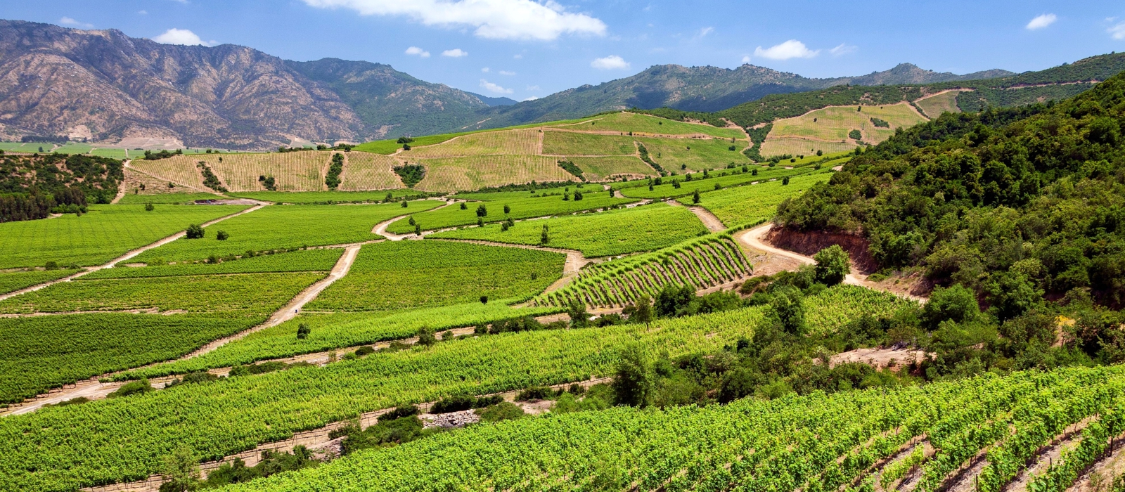 CHILE’S WINE VALLEYS